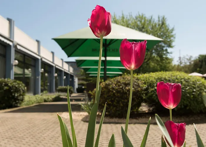 머큐어 암 프리덴스플라츠 호텔 만하임